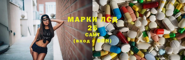 индика Беломорск