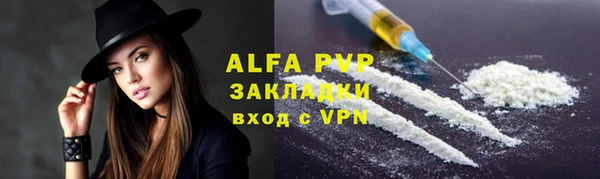 индика Беломорск