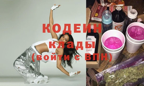 индика Беломорск