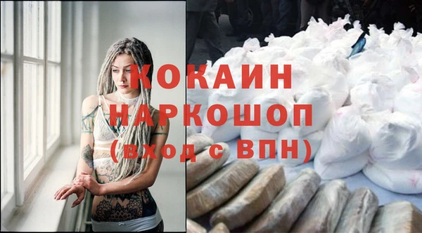 a pvp Белокуриха