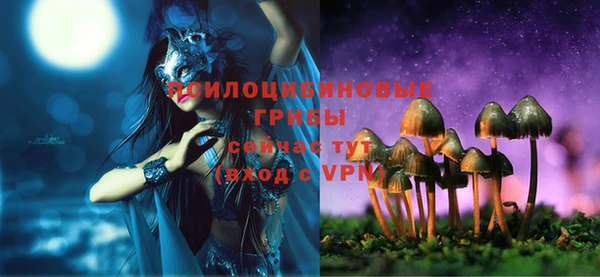 a pvp Белокуриха