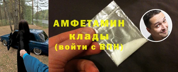 индика Беломорск