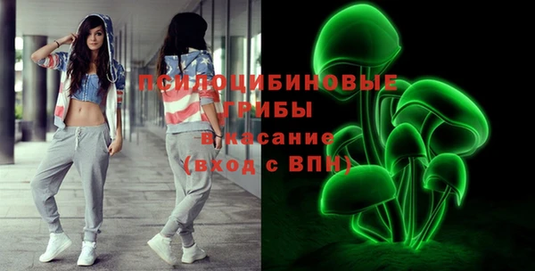 индика Беломорск